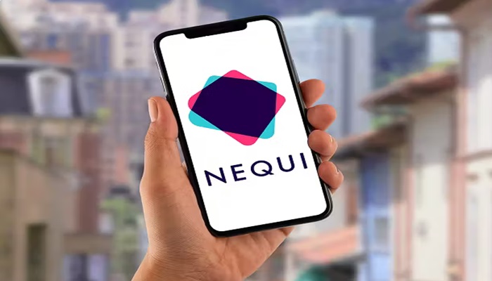 Instituto System Chalx